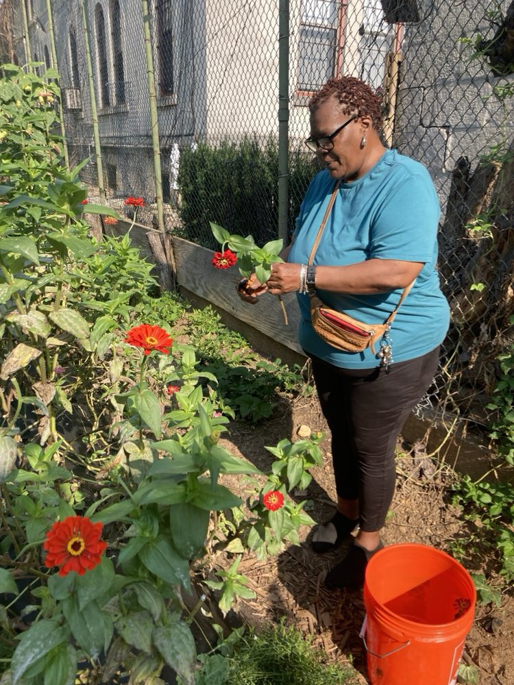 A volunteer tending flowers at the Powell Communal Farm